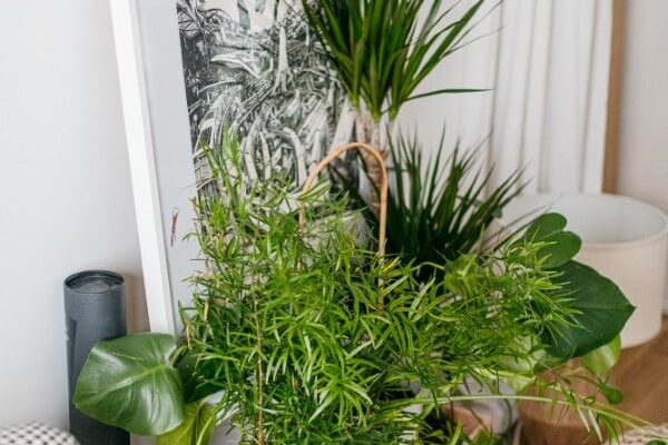 Rénovation d'un appartement à paris
