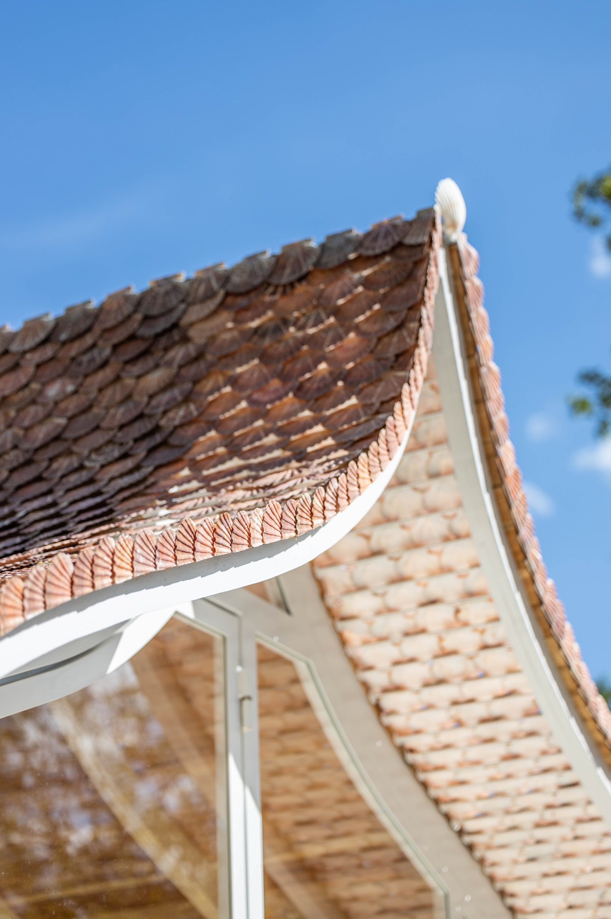 Un matériaux hors du commun – Un toit de coquillages